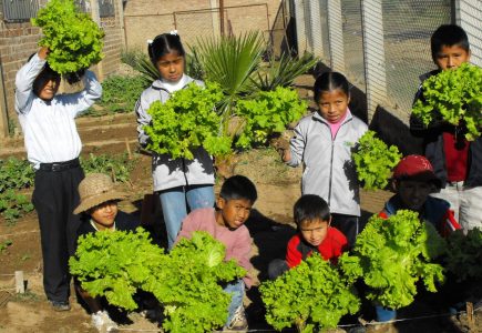 cropped-Trotse_kinderen_met_oogst_Cochabamba_Bolivia_Alerta_Verde_2009